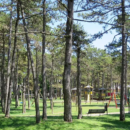 Parco Hemingway-25 By Interhome شقة لينانو سابيادورو